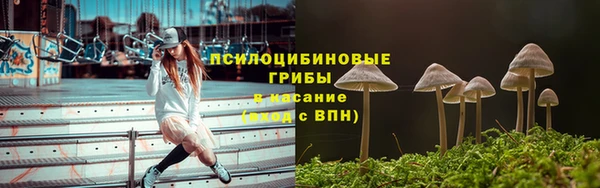 2c-b Надым