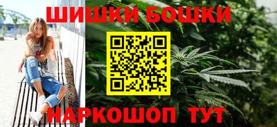 индика Абакан