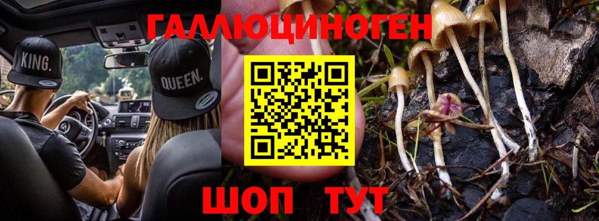 Галлюциногенные грибы Psilocybe  Вход с VPN  Удомля 